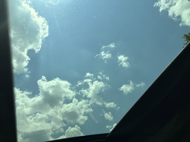 Vehicle image 36 of 37