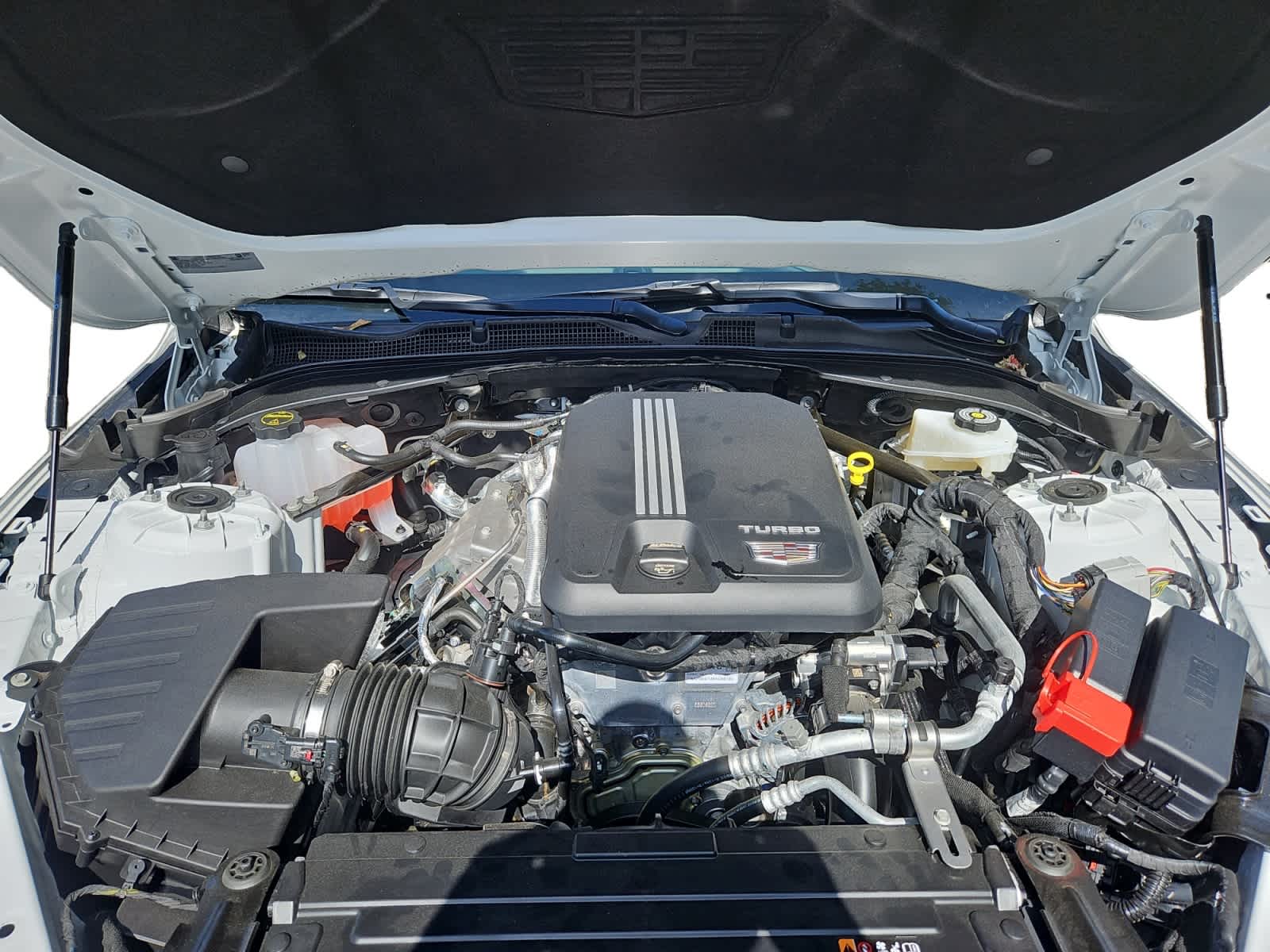 2025 Cadillac CT4 Sport Image 6 of 20