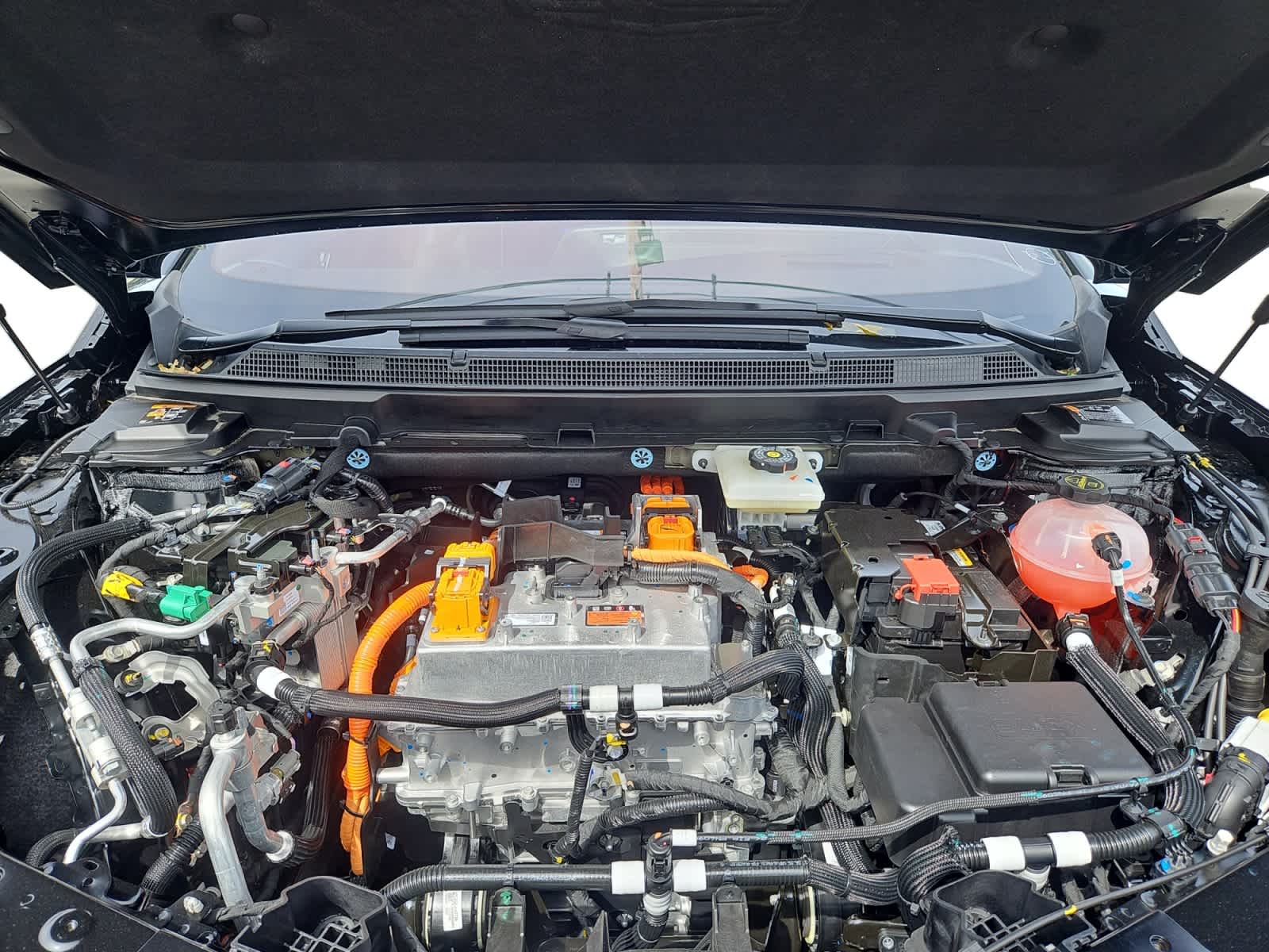 2025 Cadillac OPTIQ Sport Image 6 of 20