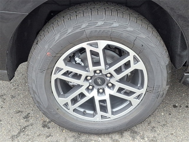 2025 Ford Expedition Active Image 6 of 16