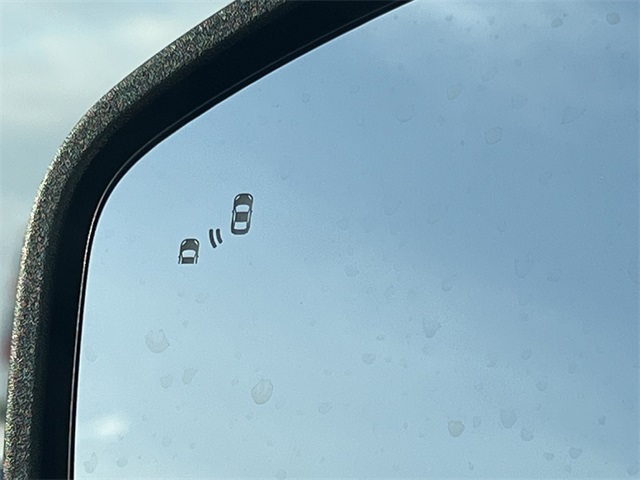 2025 Ford Expedition Active Image 11 of 25