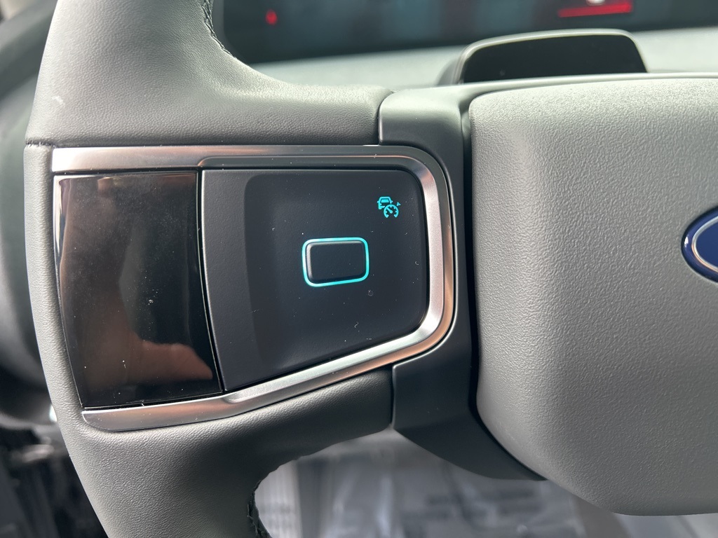 2025 Ford Expedition Active Image 29 of 36