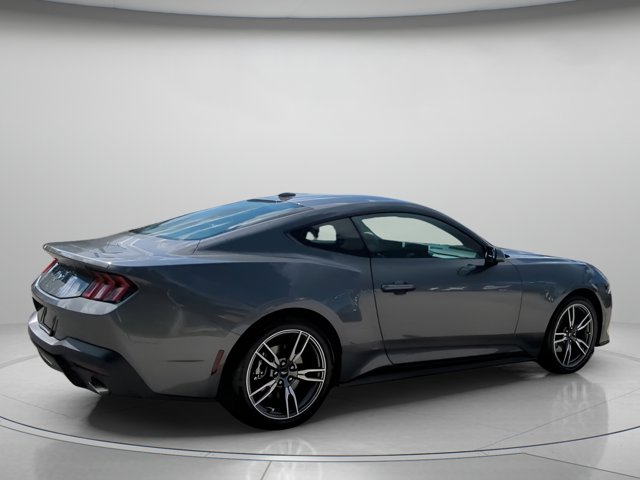 2025 Ford Mustang EcoBoost Image 19 of 59