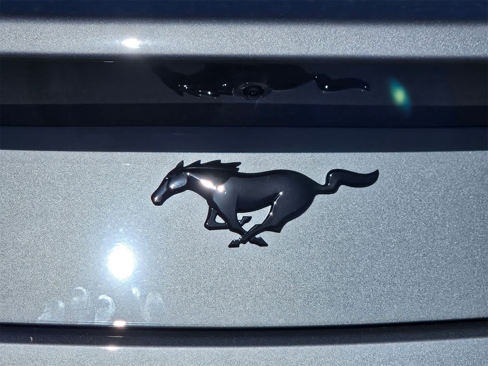 2025 Ford Mustang EcoBoost Image 30 of 30