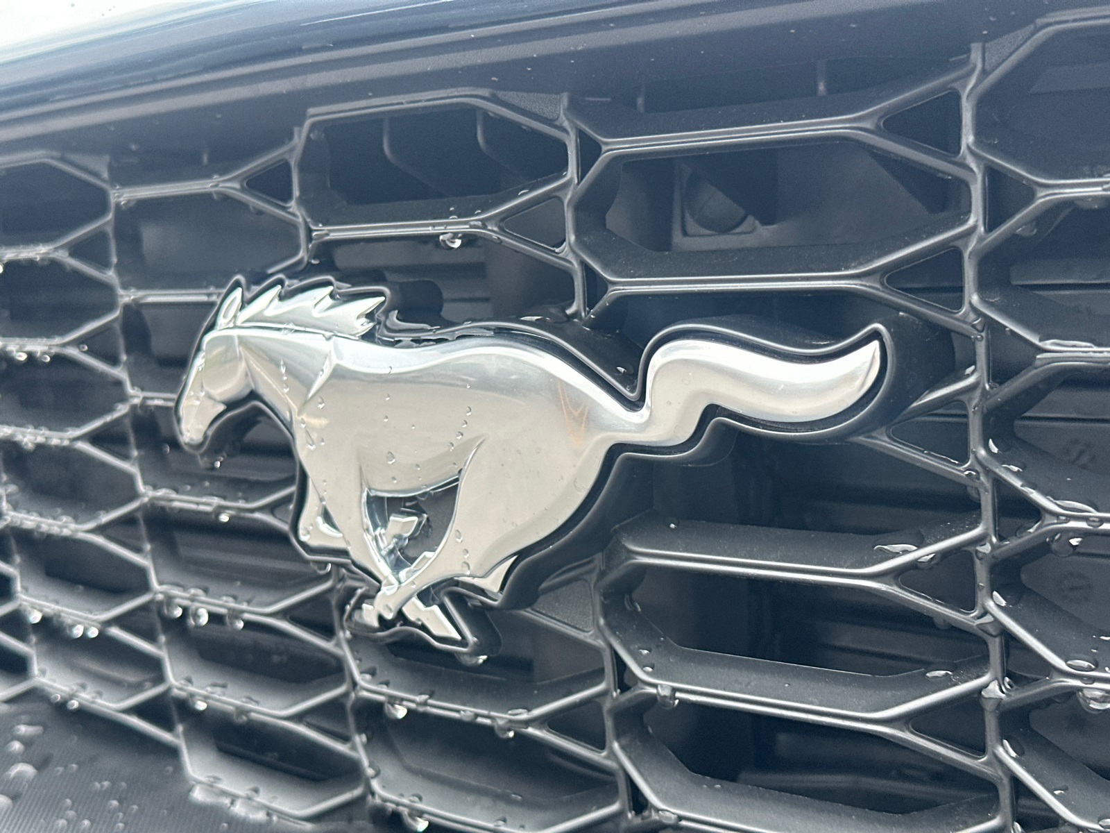 2025 Ford Mustang EcoBoost Image 28 of 29