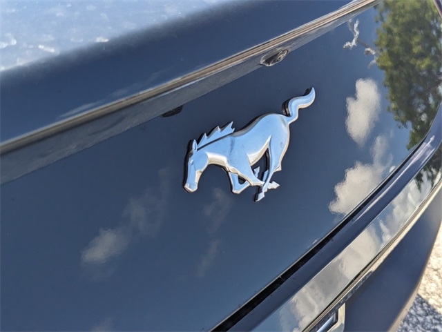2025 Ford Mustang EcoBoost Image 15 of 15