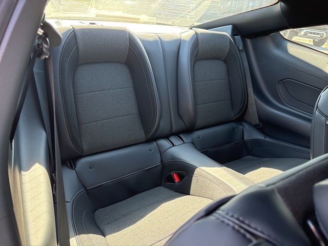 2025 Ford Mustang EcoBoost Image 11 of 29