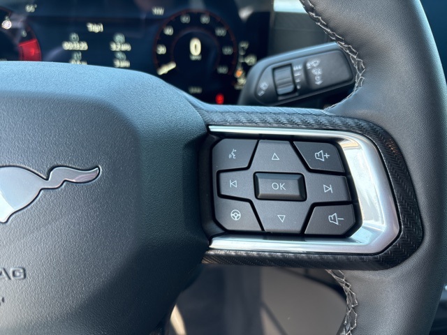 2025 Ford Mustang EcoBoost Image 23 of 29