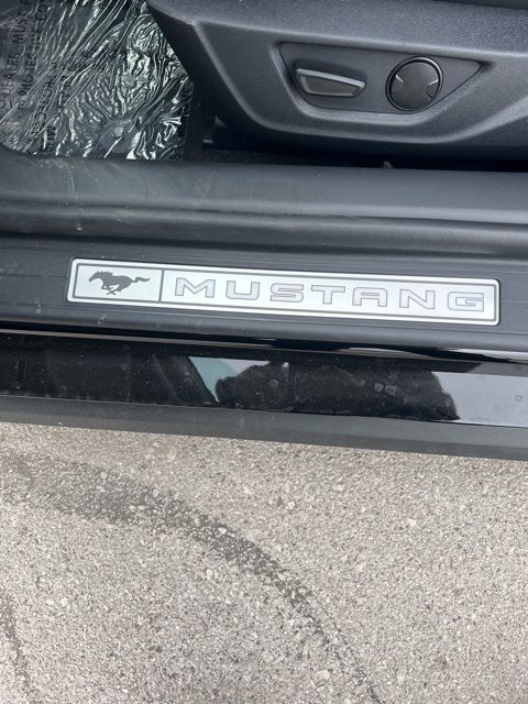 2025 Ford Mustang EcoBoost Premium Image 11 of 30