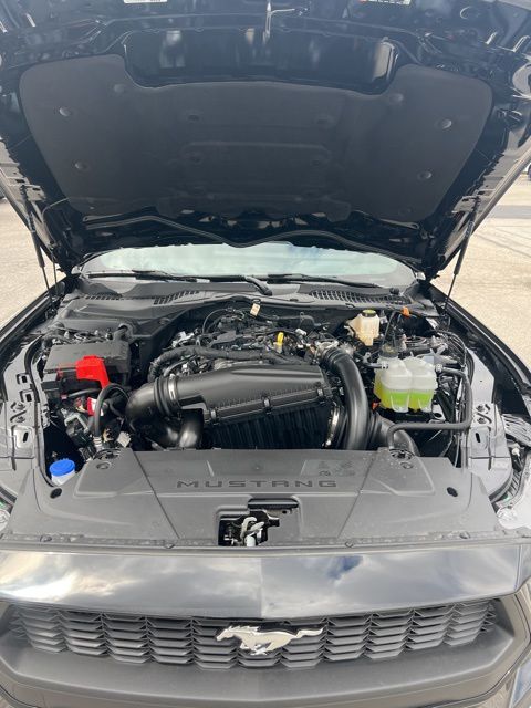 2025 Ford Mustang EcoBoost Premium Image 26 of 30
