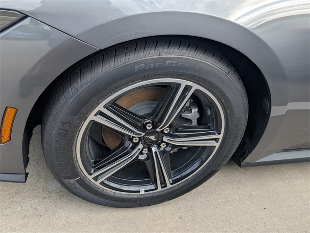 2025 Ford Mustang EcoBoost Image 6 of 12