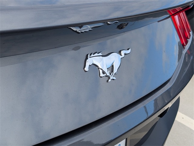 2025 Ford Mustang EcoBoost Image 12 of 12