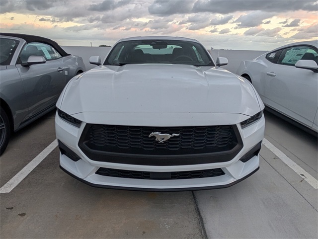 2025 Ford Mustang EcoBoost Image 7 of 7