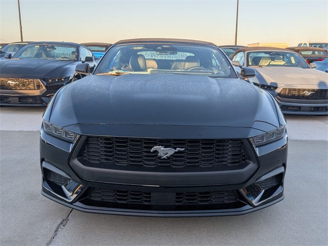 2025 Ford Mustang EcoBoost Premium Image 11 of 11