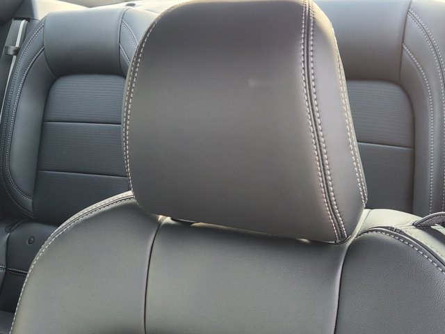 Vehicle image 19 of 23