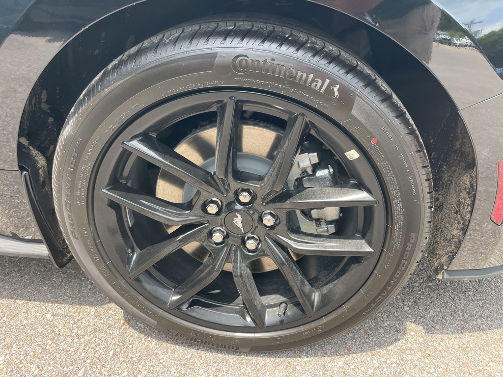 Vehicle image 7 of 31