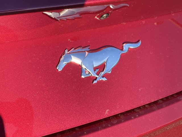 2025 Ford Mustang EcoBoost Image 20 of 31