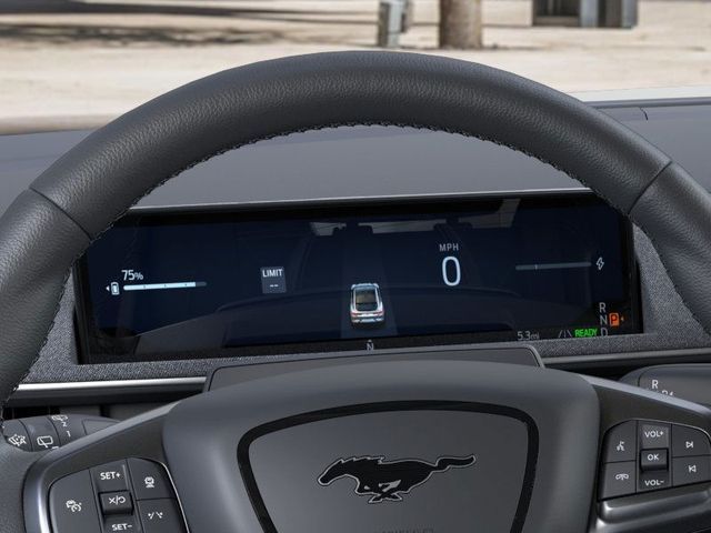 2025 Ford Mustang Mach-E Premium Image 20 of 22