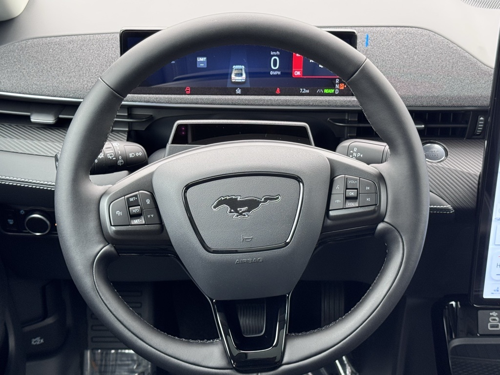 2025 Ford Mustang Mach-E Premium Image 45 of 47