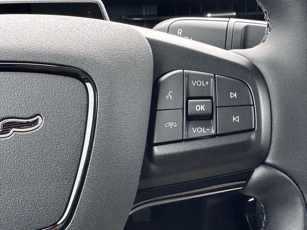 2025 Ford Mustang Mach-E Premium Image 33 of 47