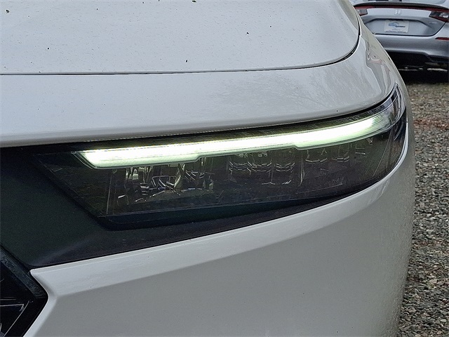2025 Honda Accord LX Image 13 of 14