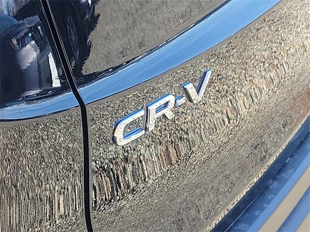 Vehicle image 6 of 16