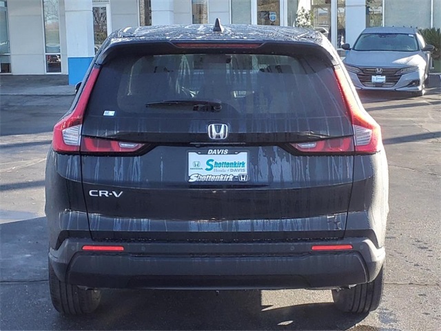 2025 Honda CR-V EX-L Image 7 of 20