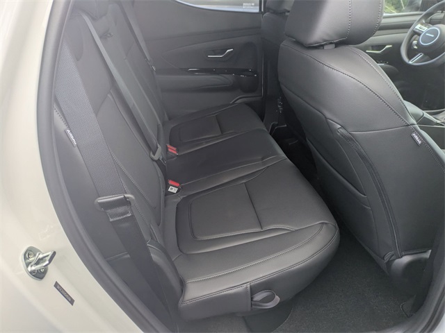 2025 Hyundai Santa Cruz SEL Activity Image 12 of 30