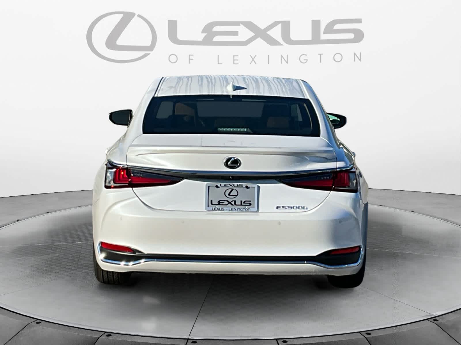 2025 Lexus ES 300h Luxury Image 6 of 15