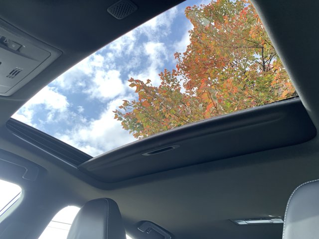 2025 Lexus IS 350 F Sport Image 33 of 36