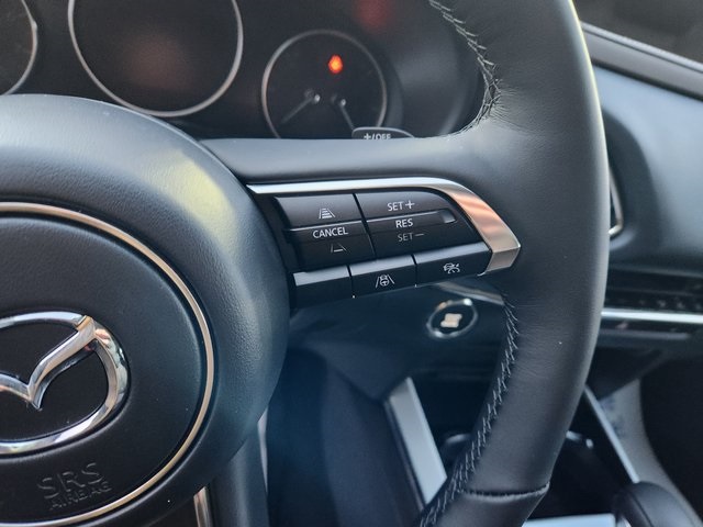 2025 Mazda CX-30 2.5 Turbo Premium Plus Package Image 19 of 21