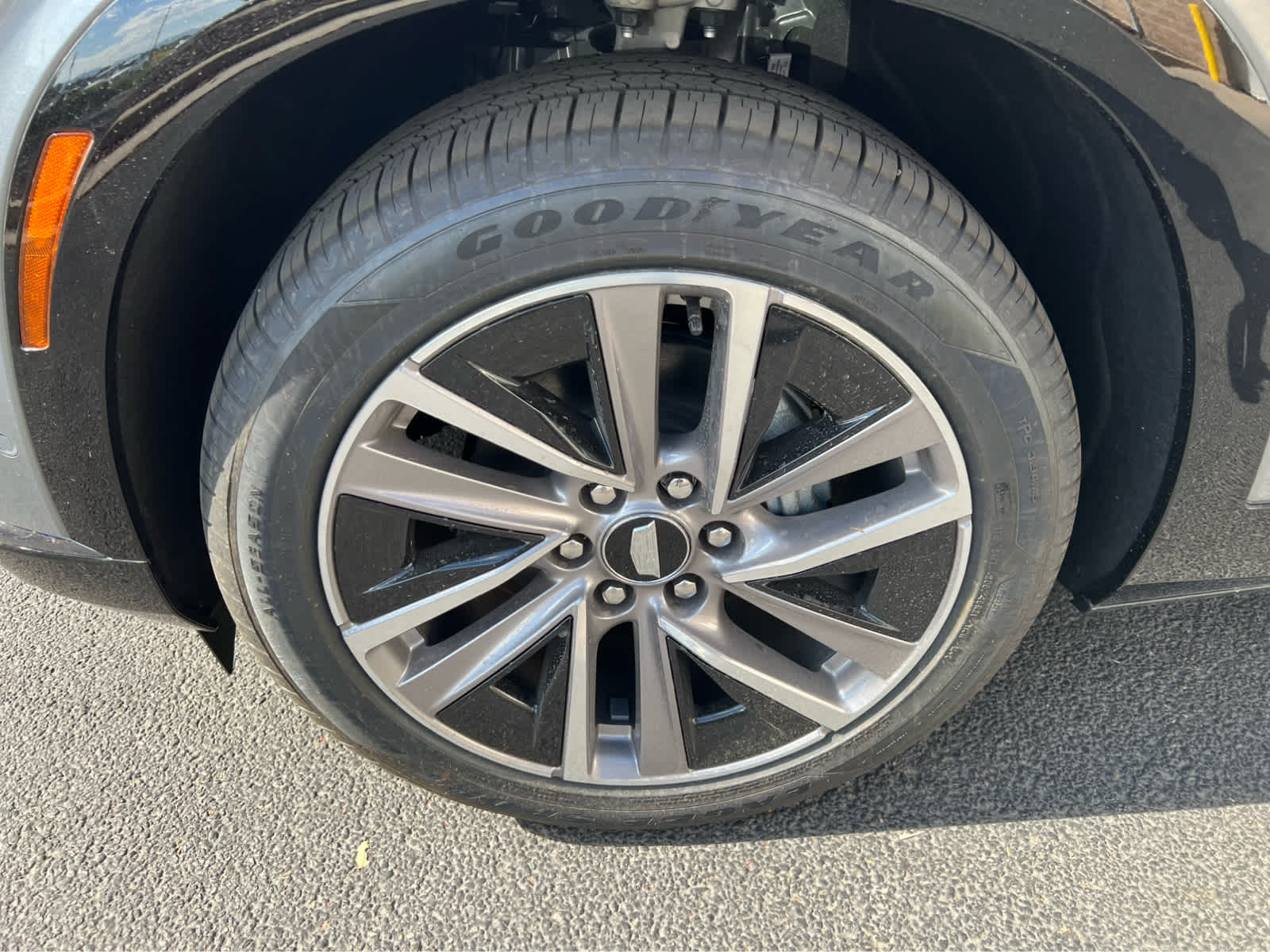 2026 Cadillac VISTIQ Sport Image 6 of 32