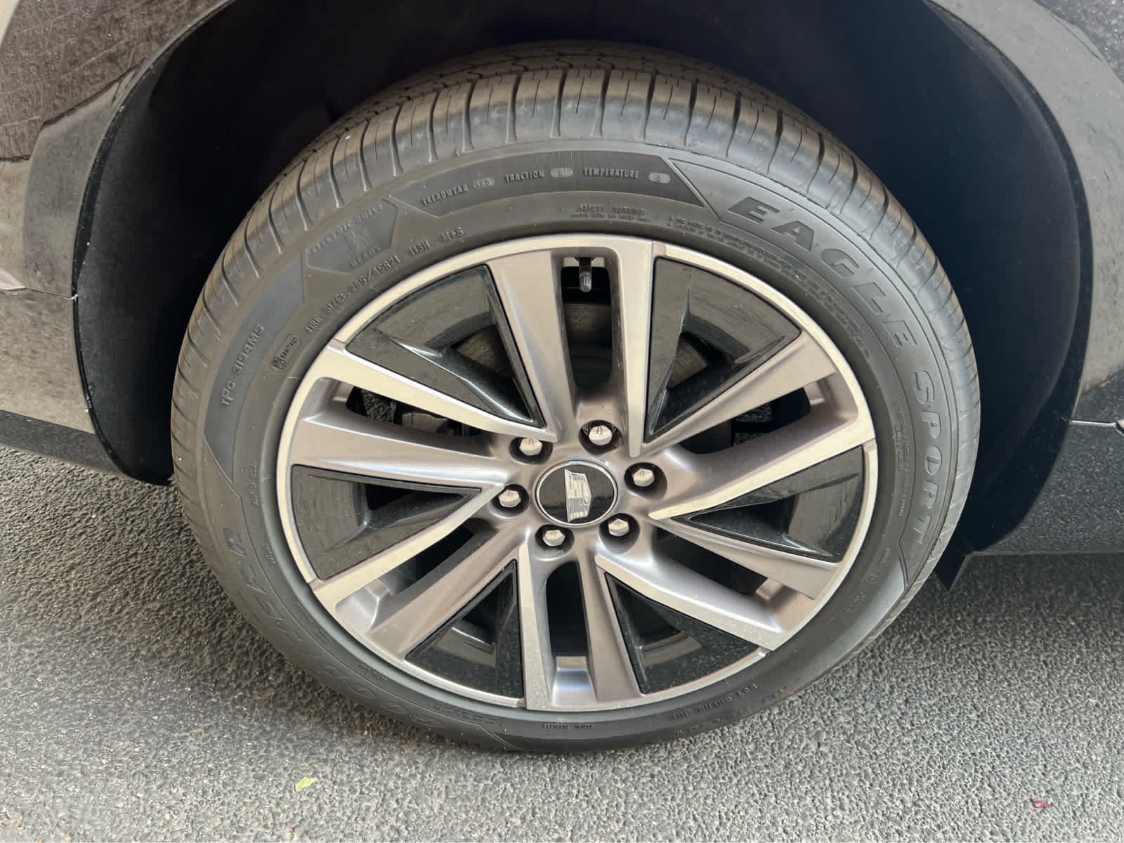 2026 Cadillac VISTIQ Sport Image 8 of 32