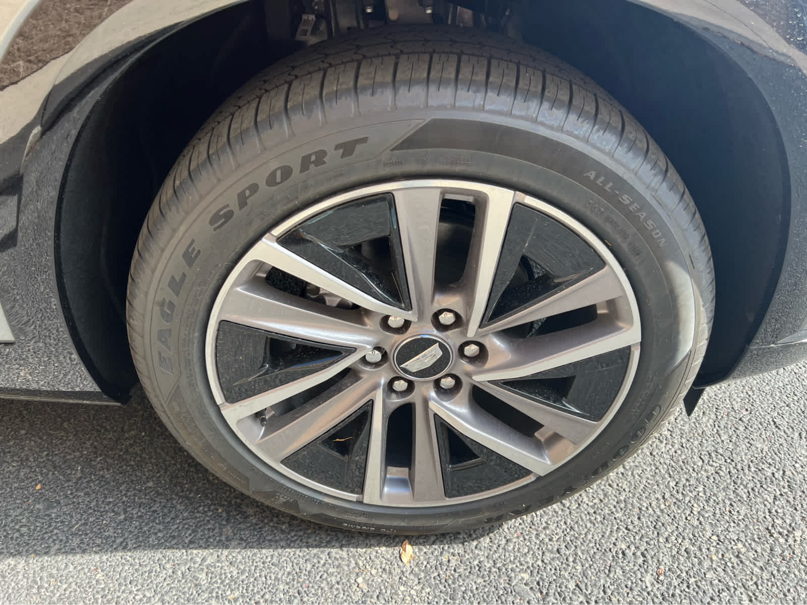 2026 Cadillac VISTIQ Sport Image 7 of 32