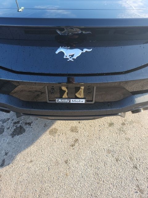2026 Ford Mustang EcoBoost Image 10 of 32
