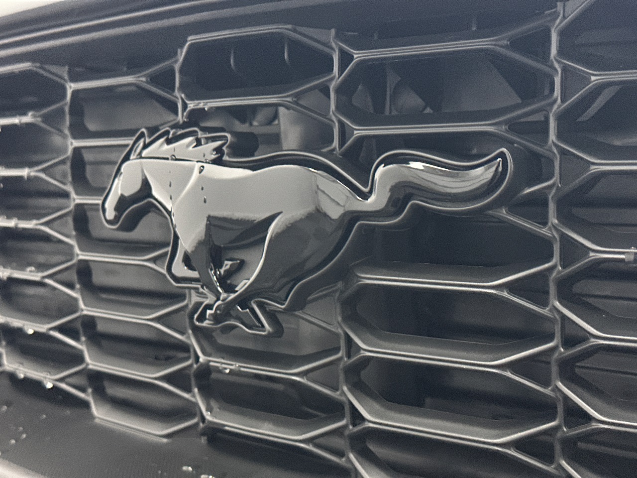 2026 Ford Mustang EcoBoost Image 25 of 29