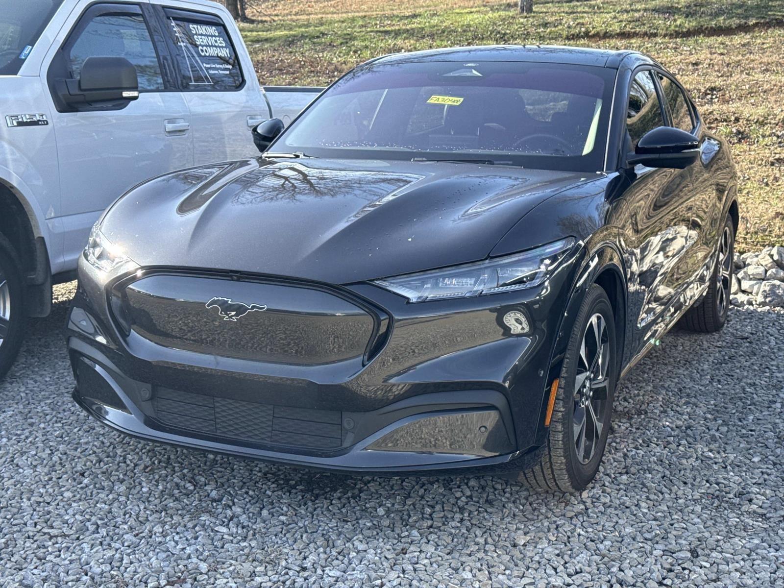 2026 Ford Mustang EcoBoost Image 1 of 6
