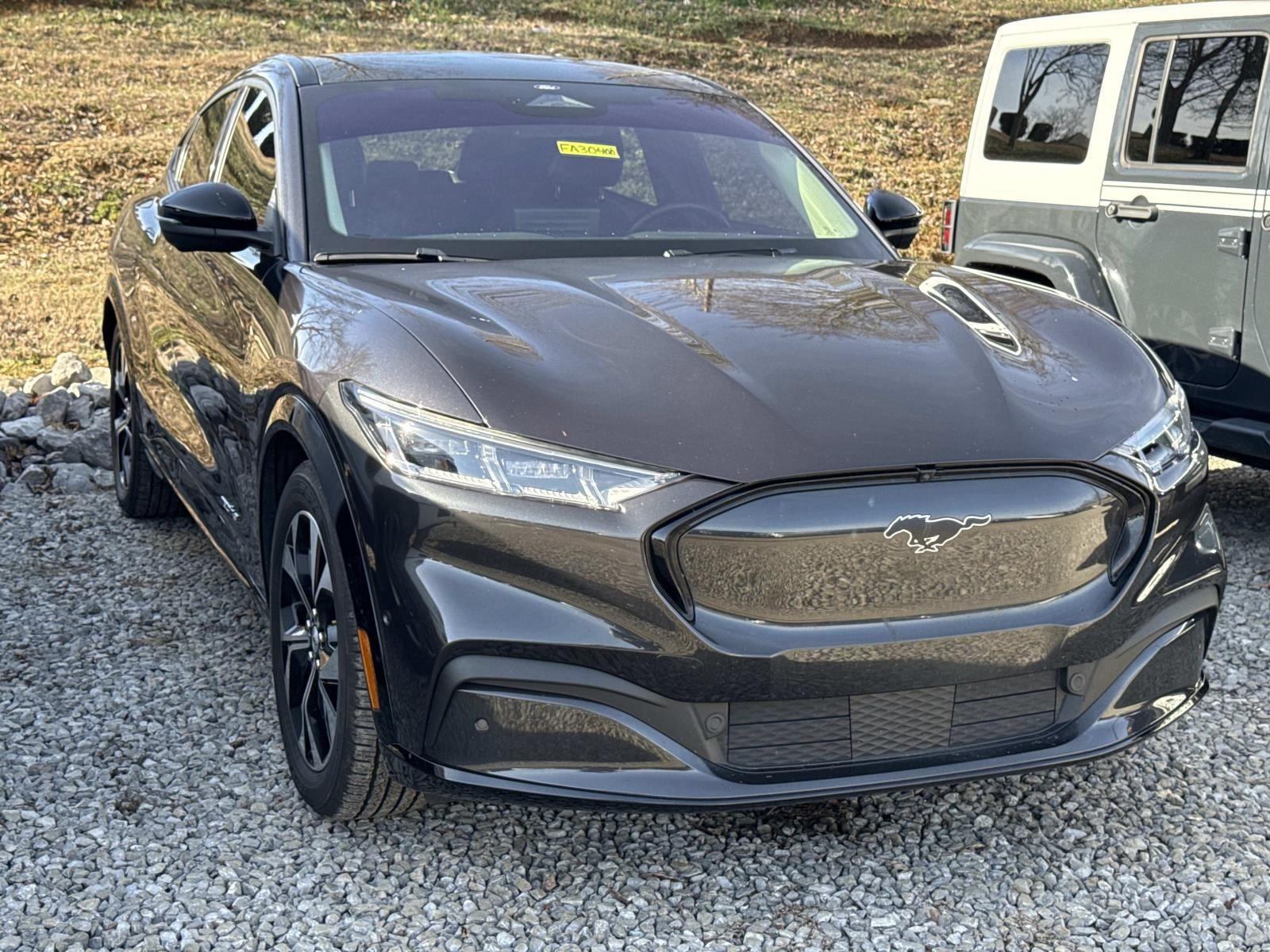 2026 Ford Mustang EcoBoost Image 3 of 6