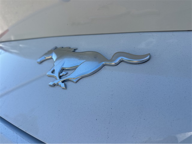 2026 Ford Mustang EcoBoost Image 15 of 19