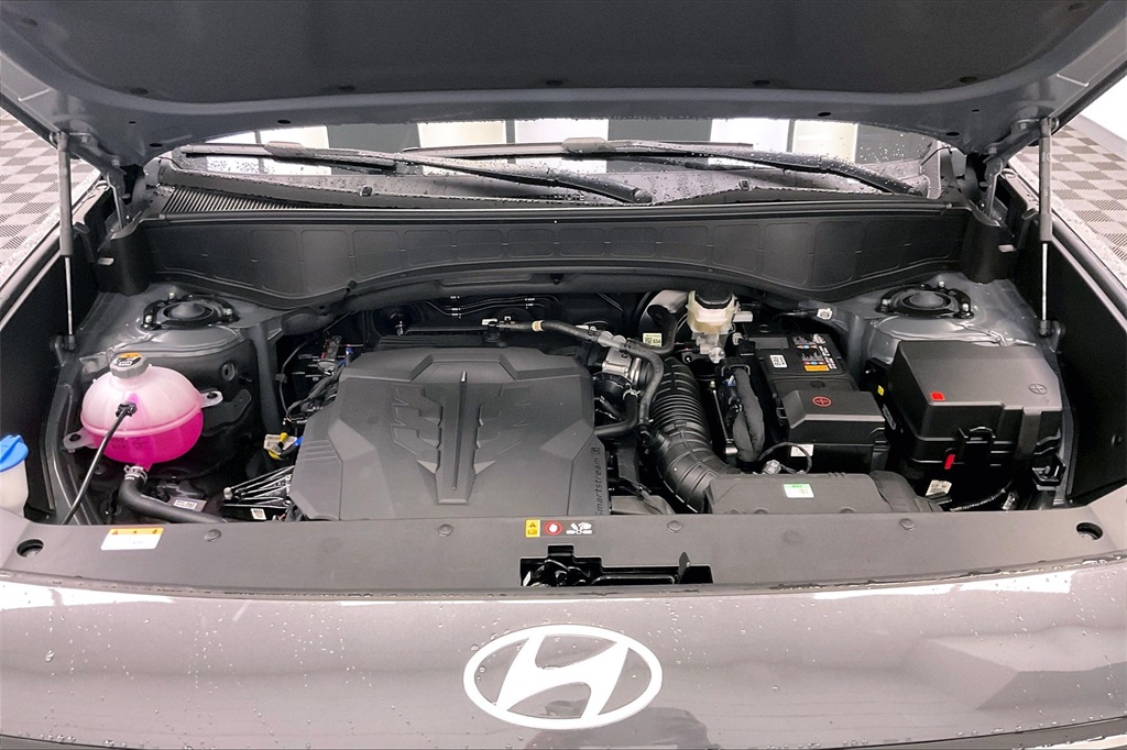 2026 Hyundai Palisade Calligraphy Image 5 of 14