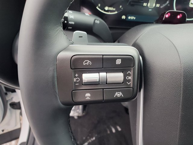 2026 Hyundai Palisade SEL Premium 8P Image 21 of 32