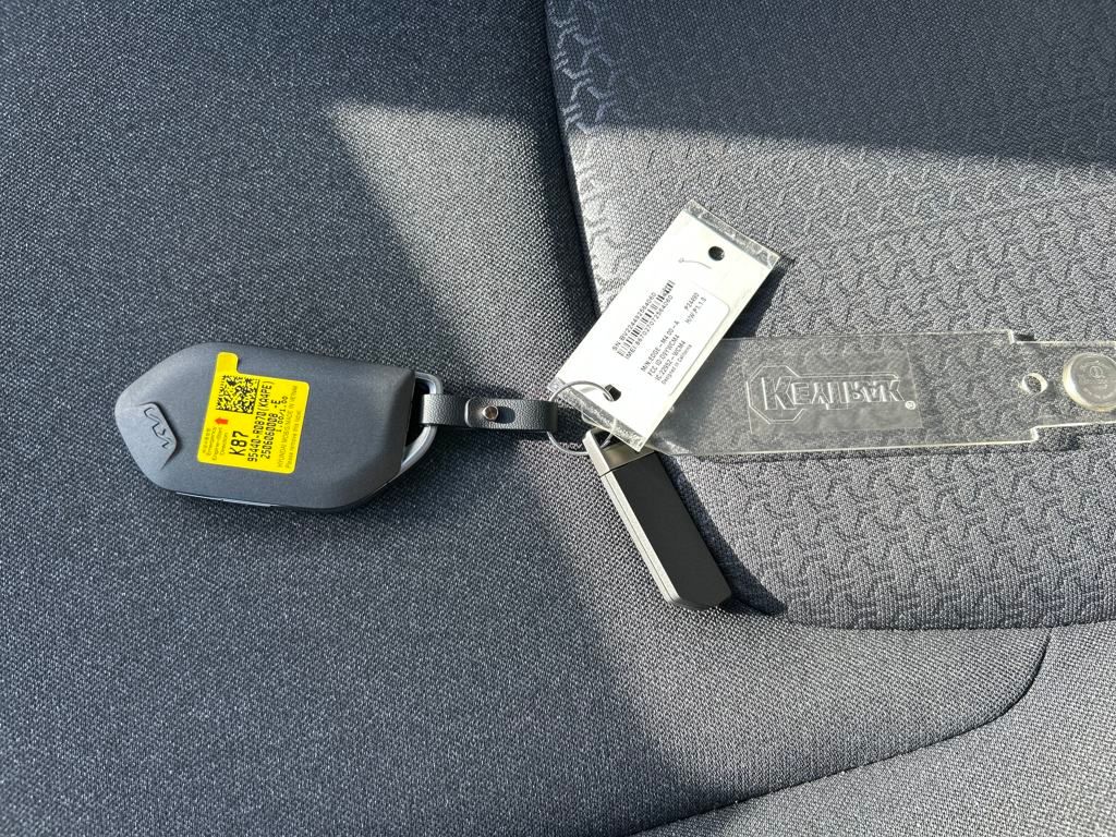 2026 Kia Carnival LX Image 28 of 34