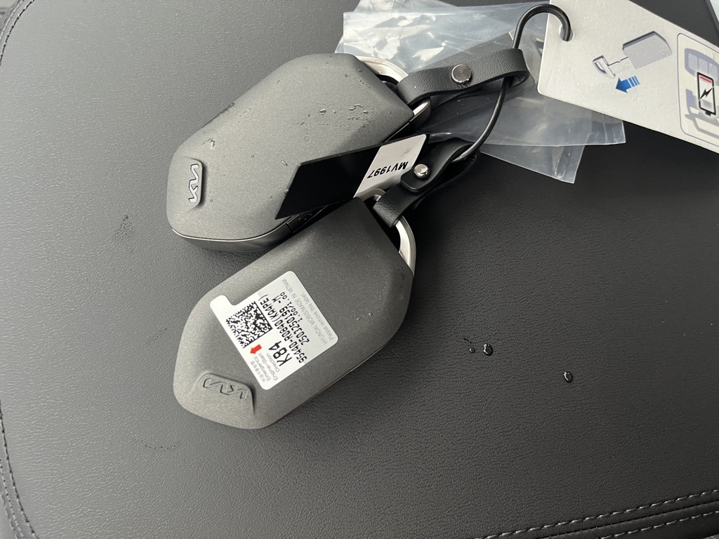 2026 Kia Carnival SX Image 15 of 19