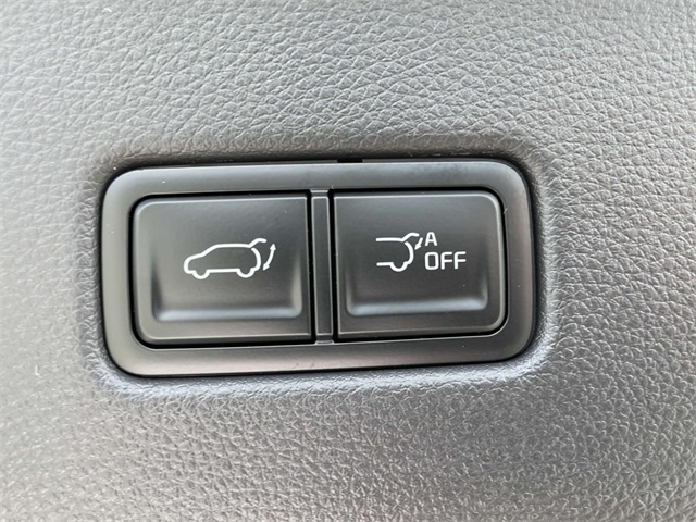 2026 Kia Carnival Hybrid EX Image 28 of 39