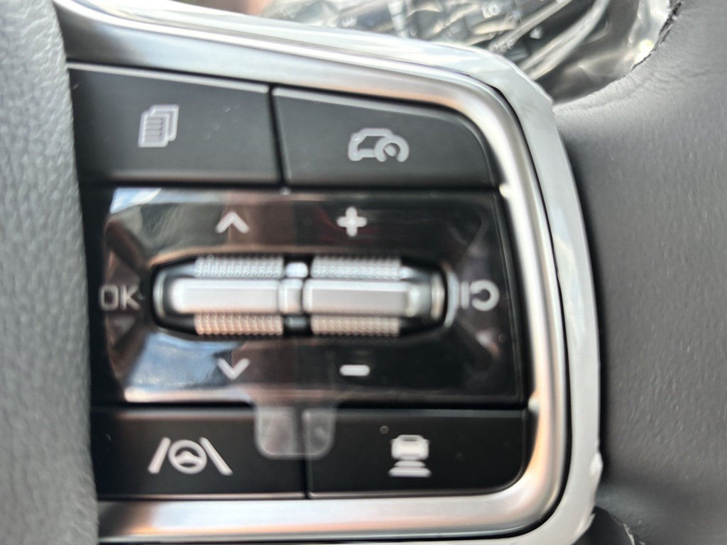 2026 Kia Carnival Hybrid SX Image 17 of 20