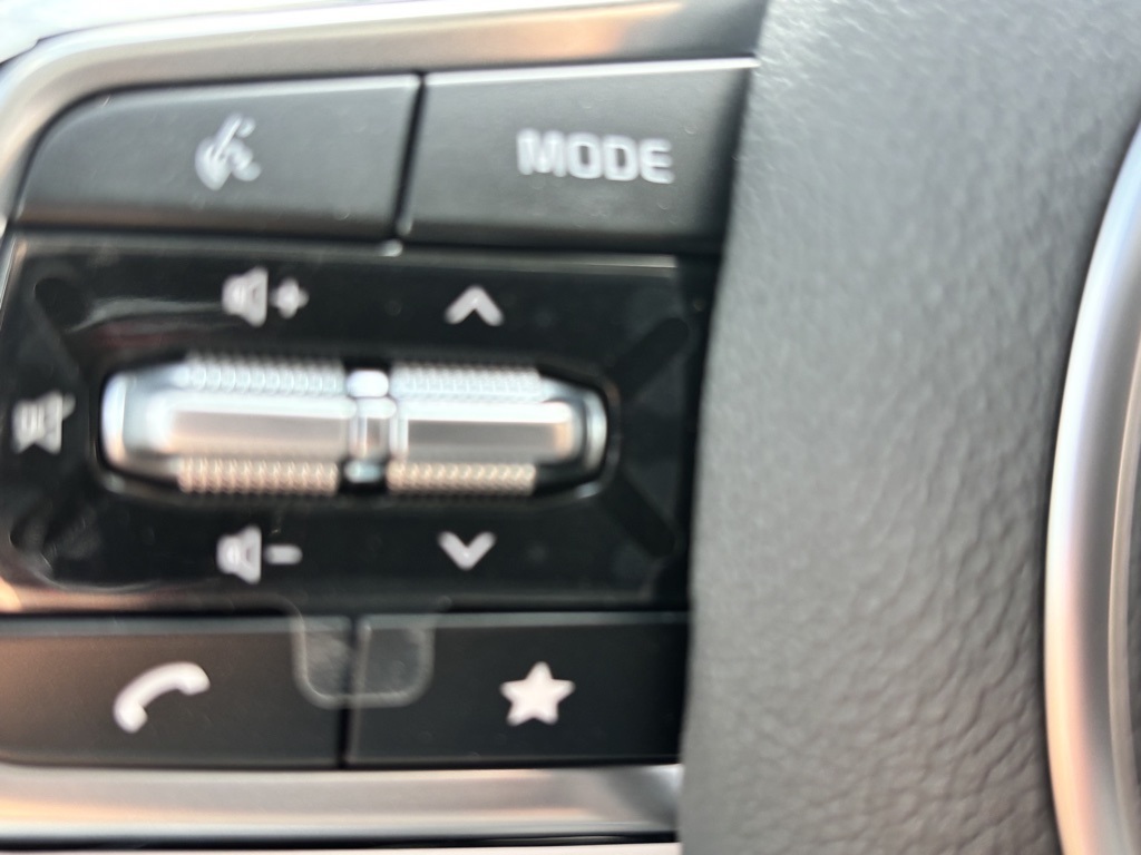 2026 Kia Carnival Hybrid SX Image 19 of 20