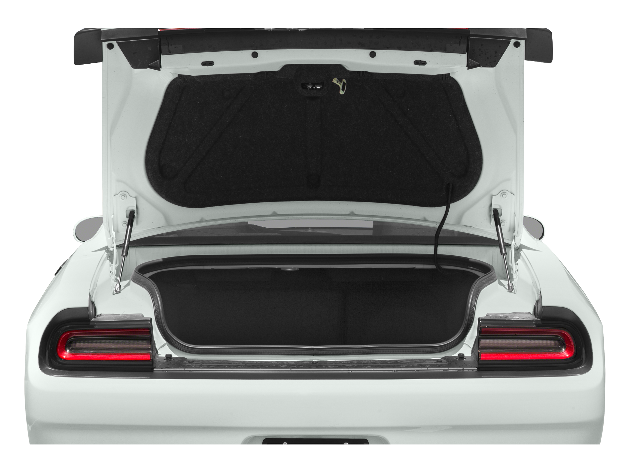 2021 Dodge Challenger R/T Scat Pack Widebody Image 10 of 11