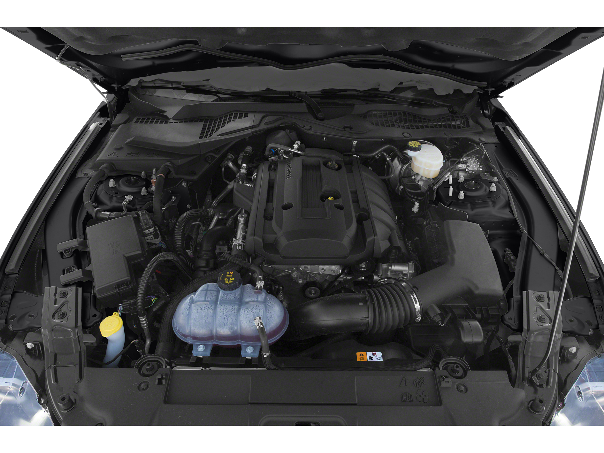 2021 Ford Mustang EcoBoost Image 11 of 12