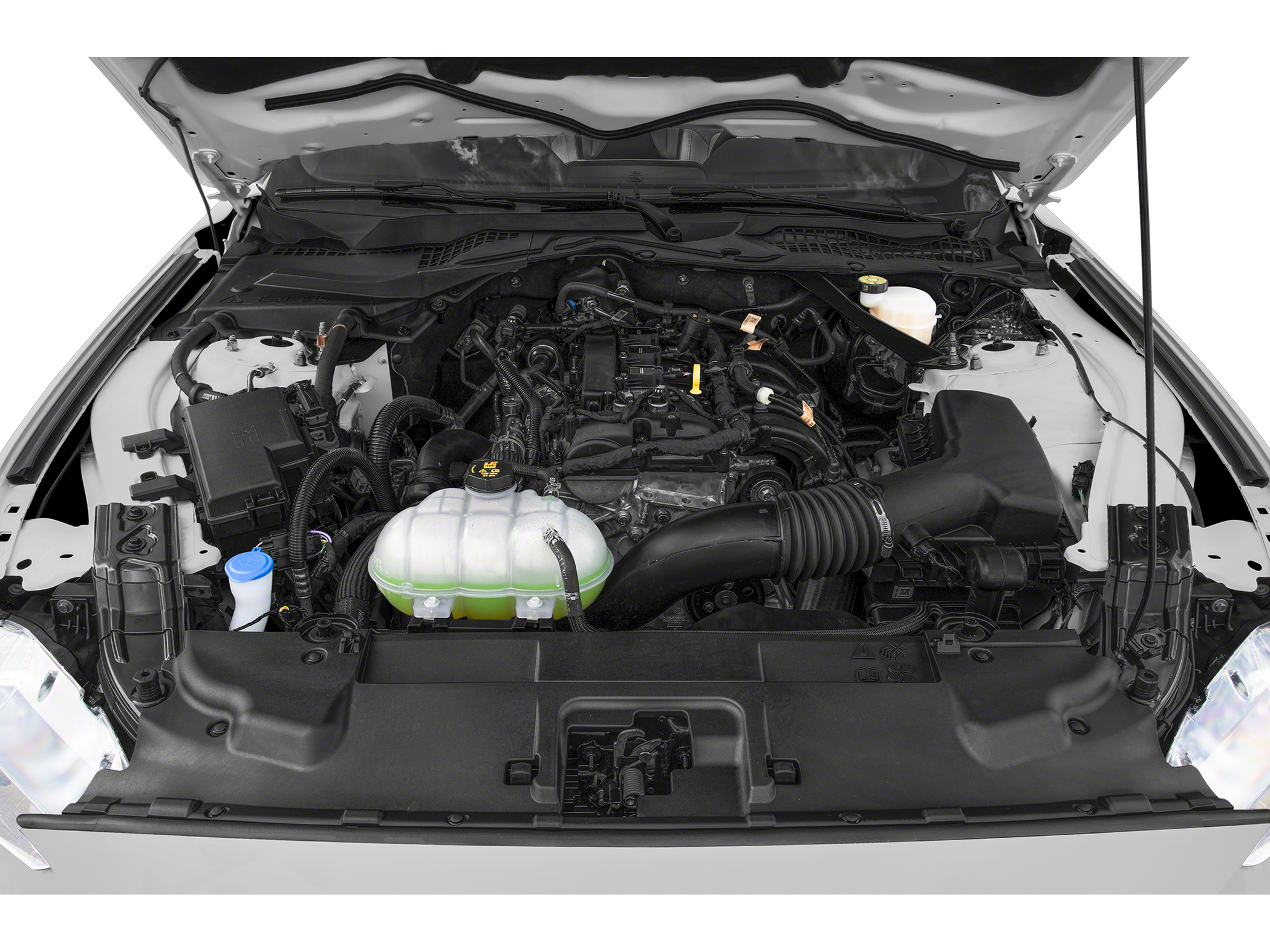 2022 Ford Mustang EcoBoost Premium Image 11 of 11