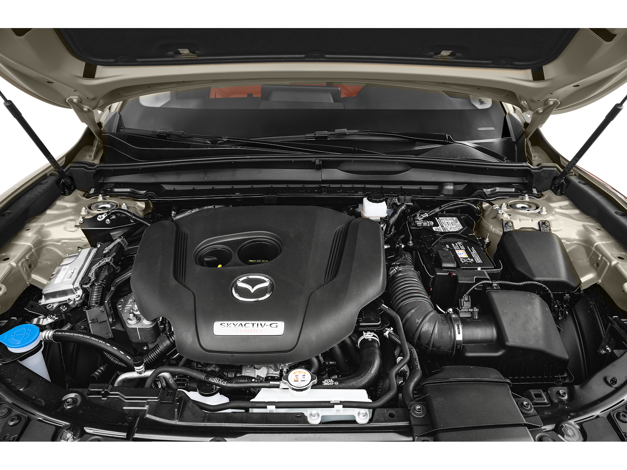Vehicle image 11 of 11